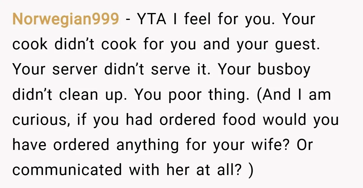 Norwegian999 − YTA I feel for you. Your cook didn’t cook for you and your guest. Your server didn’t serve it. Your busboy didn’t clean up. You poor thing. (And...