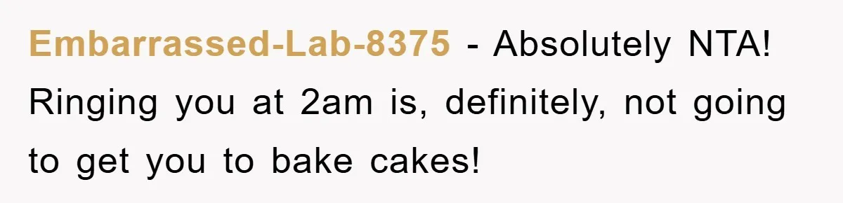 Embarrassed-Lab-8375 − Absolutely NTA! Ringing you at 2am is, definitely, not going to get you to bake cakes!
