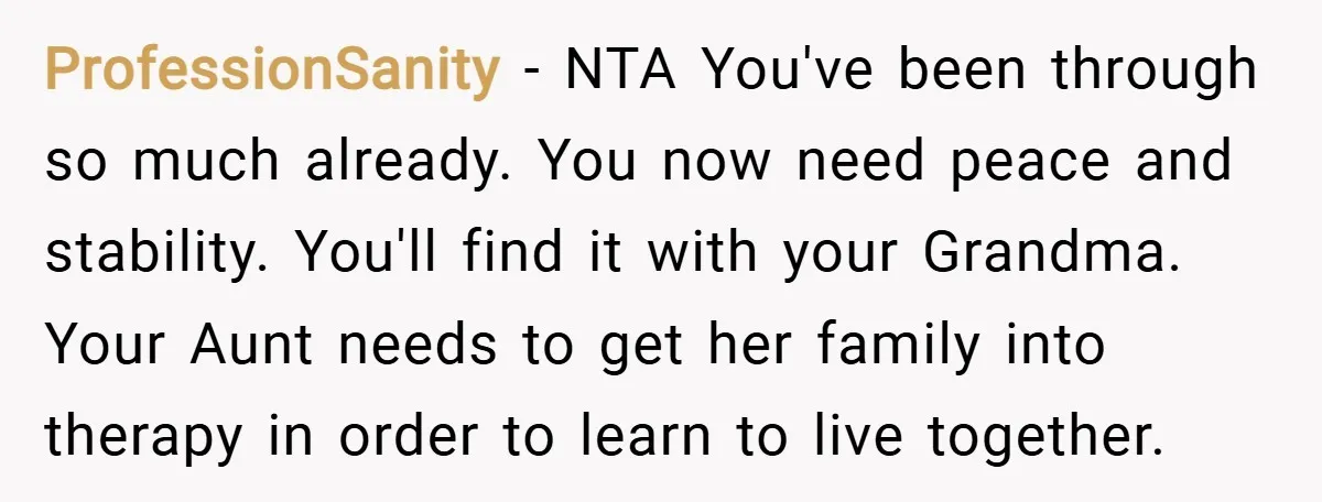 ProfessionSanity − NTA You've been through so much already. You now need peace and stability. You'll find it with your Grandma. Your Aunt needs to get her family into therapy...