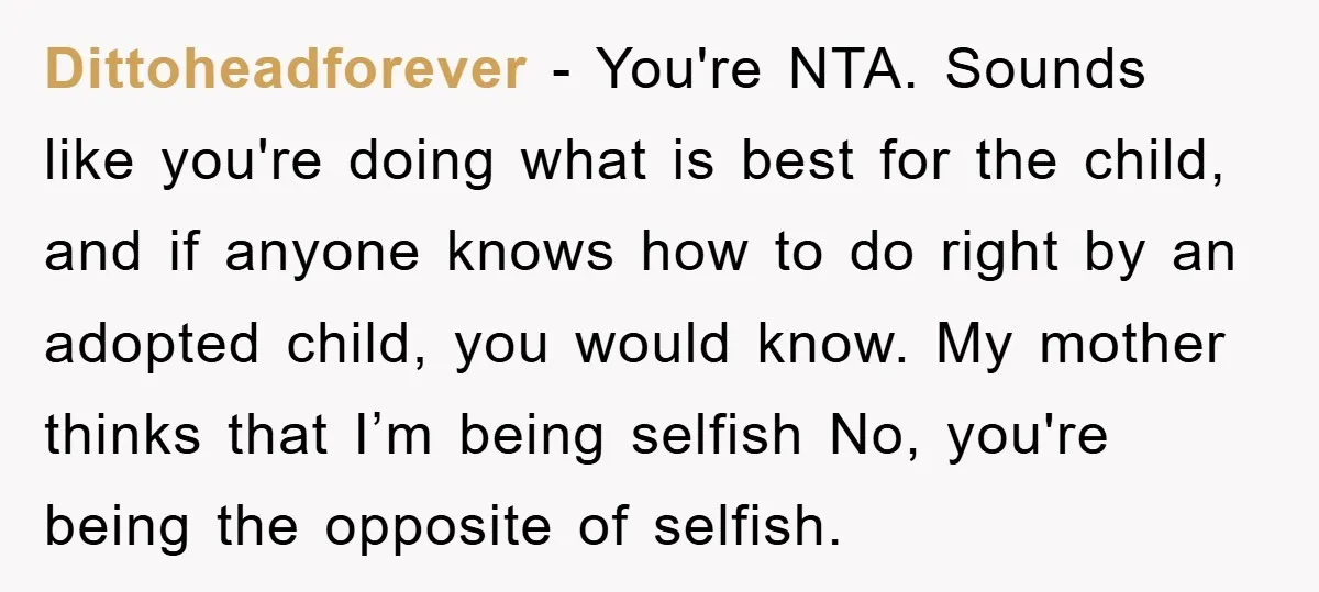 Dittoheadforever − You're NTA. Sounds like you're doing what is best for the child, and if anyone knows how to do right by an adopted child, you would know. My...