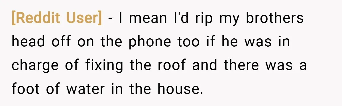 [Reddit User] − I mean I'd rip my brothers head off on the phone too if he was in charge of fixing the roof and there was a foot of...