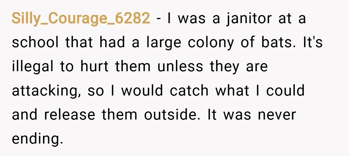 Silly_Courage_6282 − I was a janitor at a school that had a large colony of bats. It's illegal to hurt them unless they are attacking, so I would catch what...