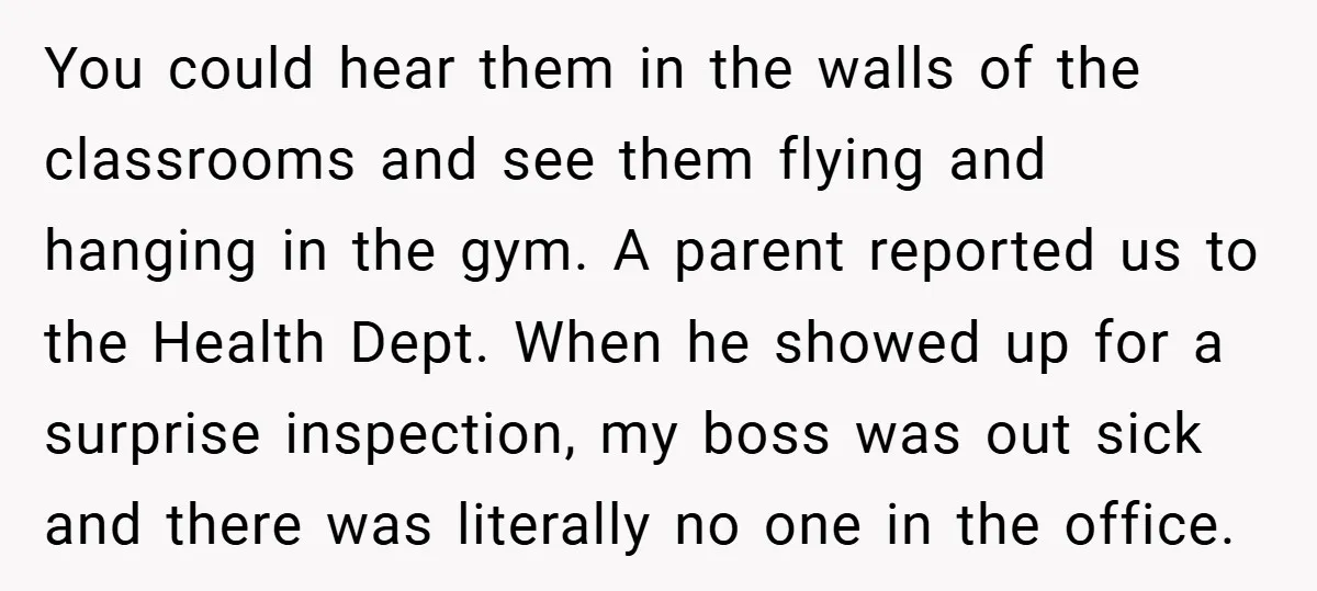 You could hear them in the walls of the classrooms and see them flying and hanging in the gym. A parent reported us to the Health Dept. When he showed...