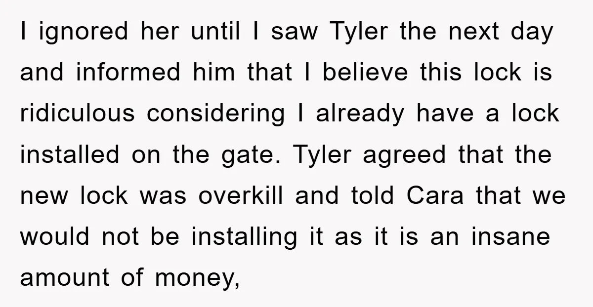 I ignored her until I saw Tyler the next day and informed him that I believe this lock is ridiculous considering I already have a lock installed on the gate....