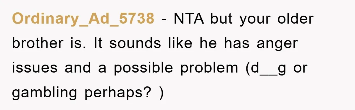 Ordinary_Ad_5738 − NTA but your older brother is. It sounds like he has anger issues and a possible problem (d__g or gambling perhaps? )