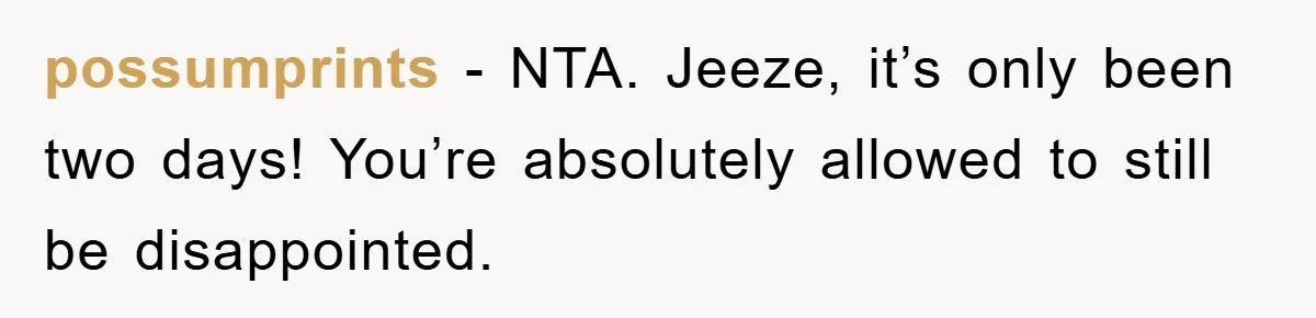 possumprints − NTA. Jeeze, it’s only been two days! You’re absolutely allowed to still be disappointed.