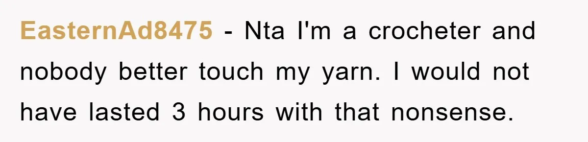 EasternAd8475 − Nta I'm a crocheter and nobody better touch my yarn. I would not have lasted 3 hours with that nonsense.