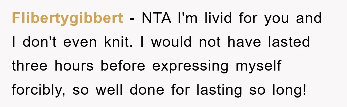 Flibertygibbert − NTA I'm livid for you and I don't even knit. I would not have lasted three hours before​ expressing myself forcibly, so well done for lasting so long!