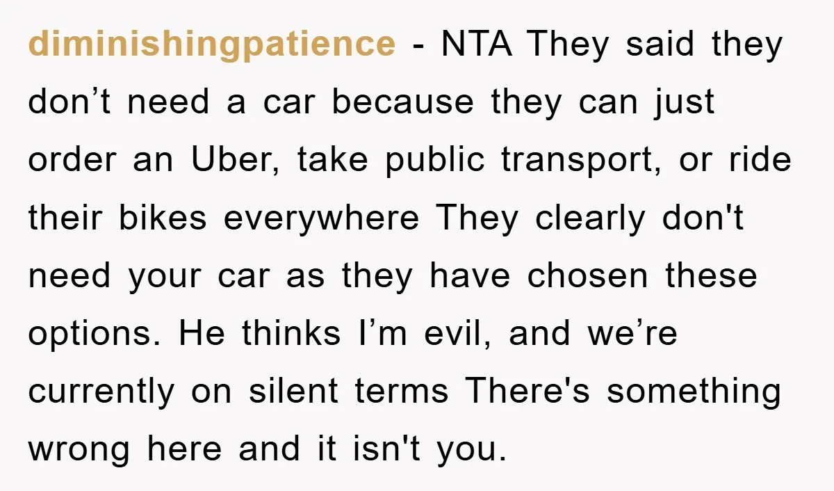diminishingpatience − NTA They said they don’t need a car because they can just order an Uber, take public transport, or ride their bikes everywhere They clearly don't need your...