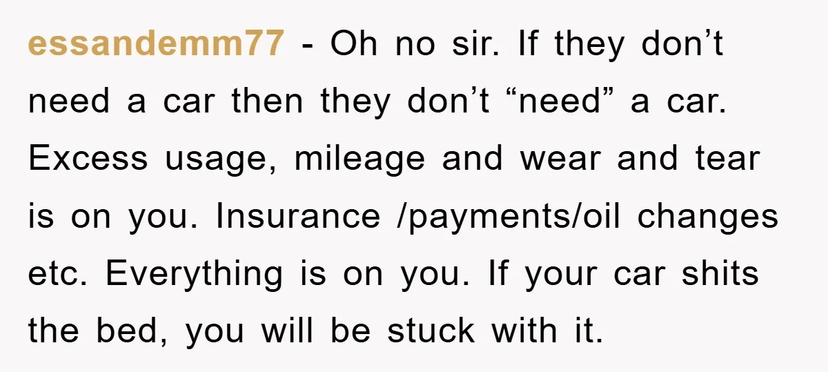 essandemm77 − Oh no sir. If they don’t need a car then they don’t “need” a car. Excess usage, mileage and wear and tear is on you. Insurance /payments/oil changes...