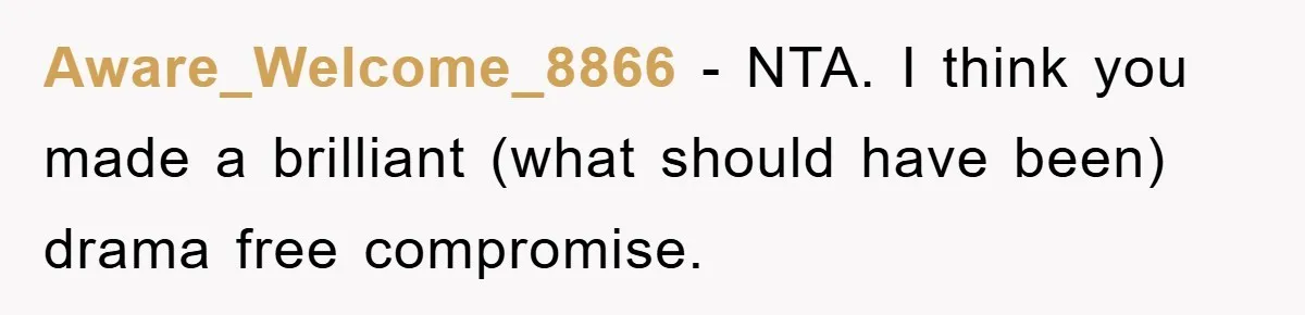 Aware_Welcome_8866 − NTA. I think you made a brilliant (what should have been) drama free compromise.