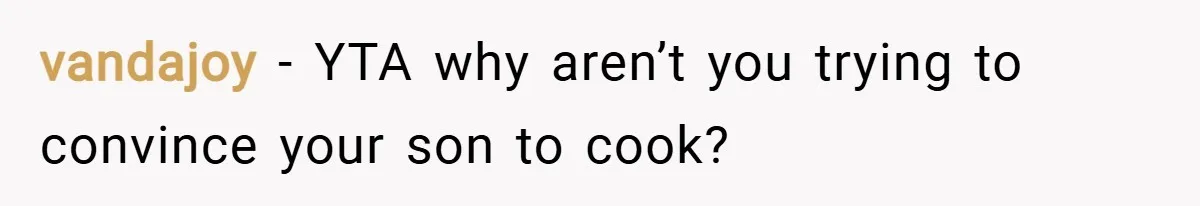 vandajoy − YTA why aren’t you trying to convince your son to cook?