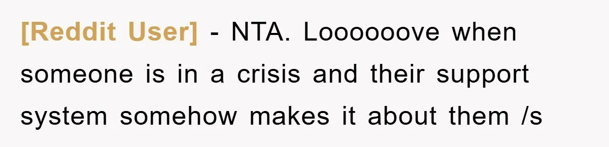 [Reddit User] − NTA. Loooooove when someone is in a crisis and their support system somehow makes it about them /s