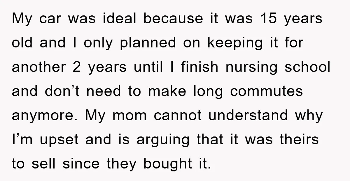 My car was ideal because it was 15 years old and I only planned on keeping it for another 2 years until I finish nursing school and don’t need to...