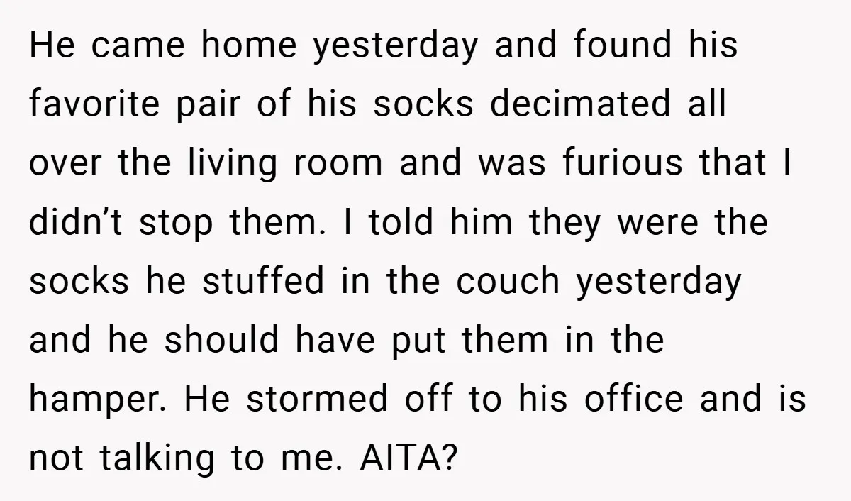 He came home yesterday and found his favorite pair of his socks decimated all over the living room and was furious that I didn’t stop them. I told him they...