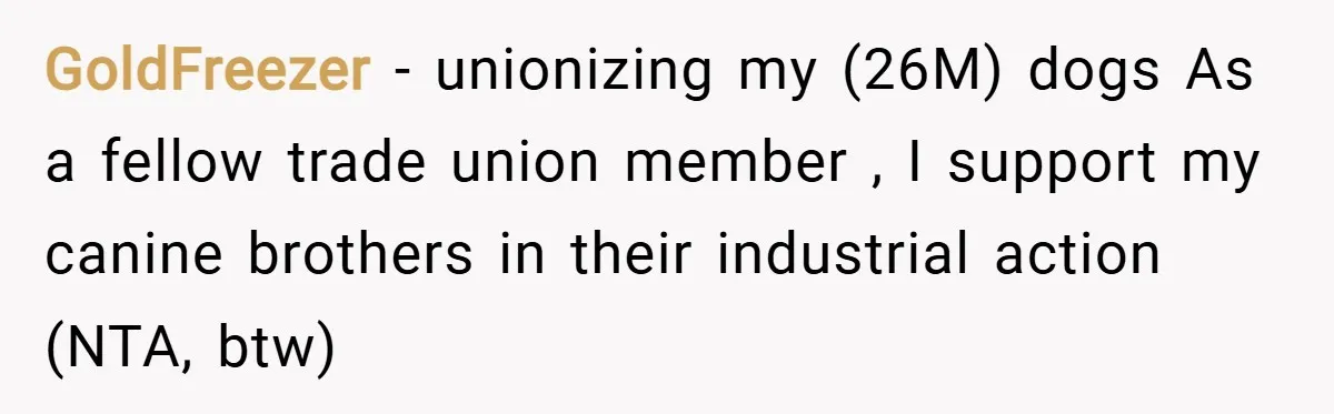 GoldFreezer − unionizing my (26M) dogs As a fellow trade union member , I support my canine brothers in their industrial action (NTA, btw)