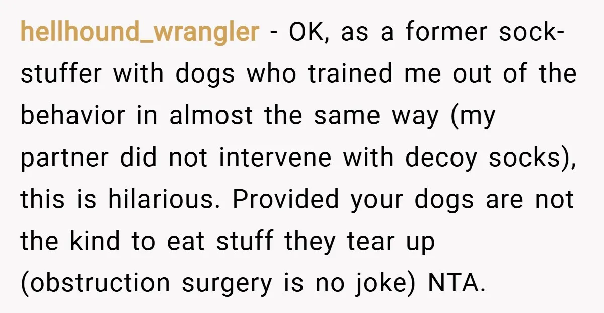 hellhound_wrangler − OK, as a former sock-stuffer with dogs who trained me out of the behavior in almost the same way (my partner did not intervene with decoy socks), this...
