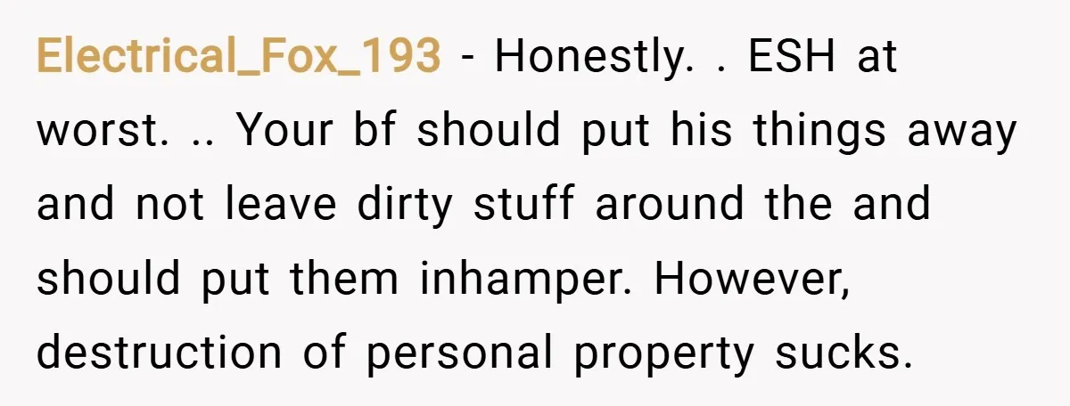 Electrical_Fox_193 − Honestly. . ESH at worst. .. Your bf should put his things away and not leave dirty stuff around the and should put them inhamper. However, destruction of...