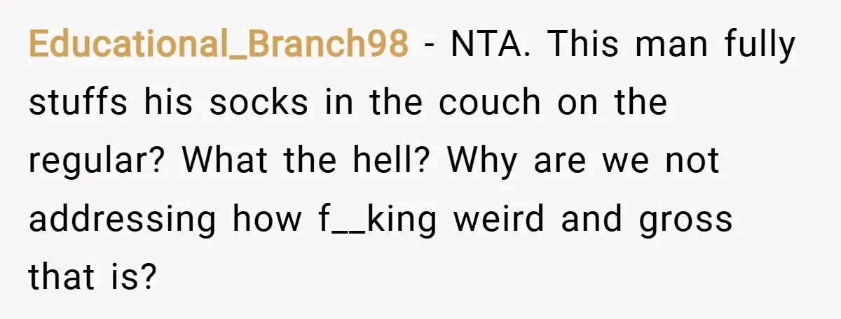 Educational_Branch98 − NTA. This man fully stuffs his socks in the couch on the regular? What the hell? Why are we not addressing how f__king weird and gross that is?
