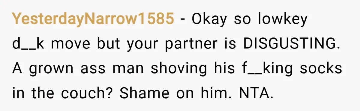 YesterdayNarrow1585 − Okay so lowkey d__k move but your partner is DISGUSTING. A grown ass man shoving his f__king socks in the couch? Shame on him. NTA.