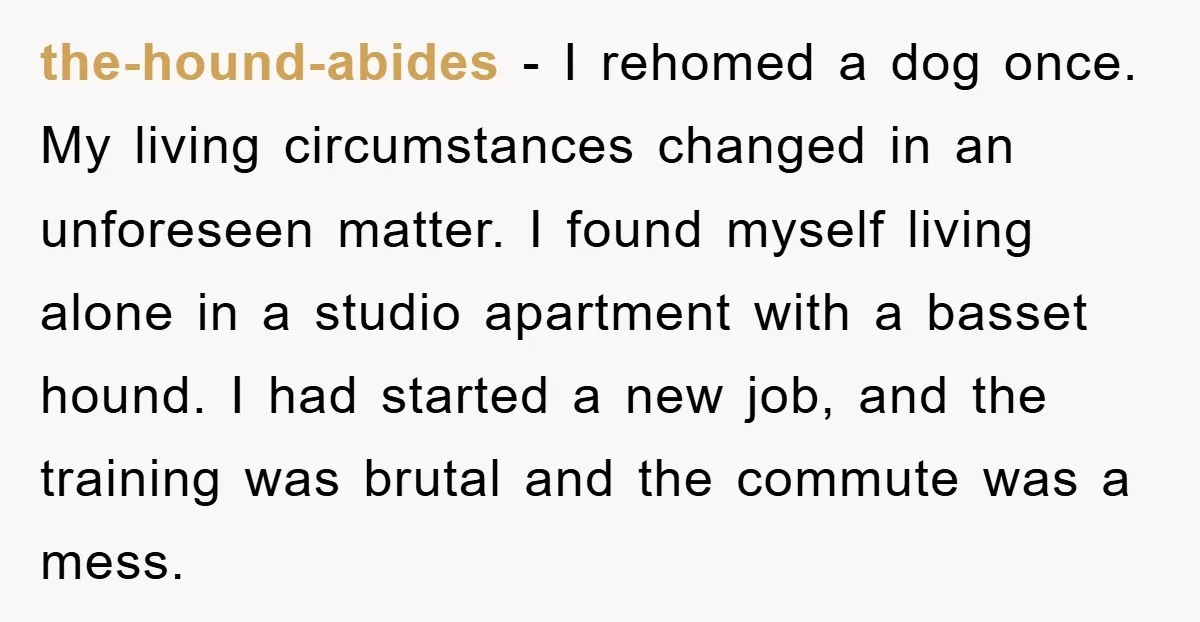 the-hound-abides − I rehomed a dog once. My living circumstances changed in an unforeseen matter. I found myself living alone in a studio apartment with a basset hound. I had...