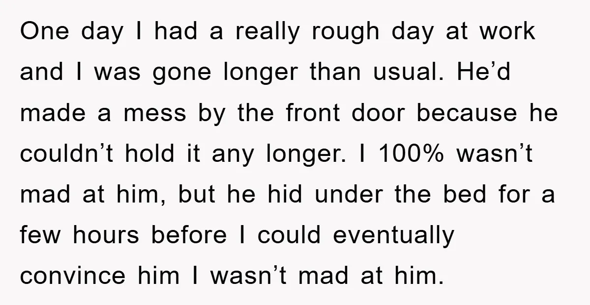 One day I had a really rough day at work and I was gone longer than usual. He’d made a mess by the front door because he couldn’t hold it...