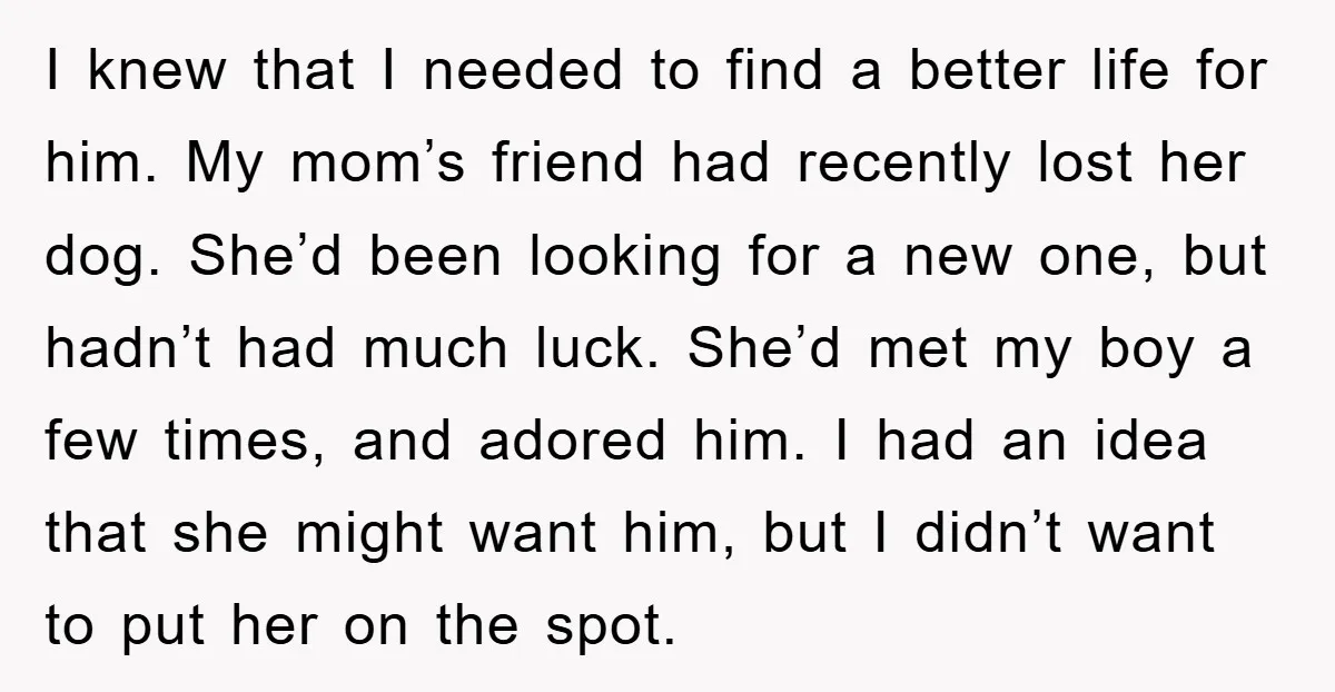 I knew that I needed to find a better life for him. My mom’s friend had recently lost her dog. She’d been looking for a new one, but hadn’t had...
