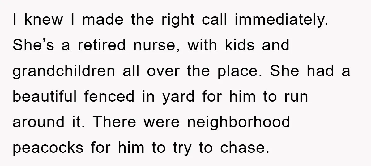 I knew I made the right call immediately. She’s a retired nurse, with kids and grandchildren all over the place. She had a beautiful fenced in yard for him to...
