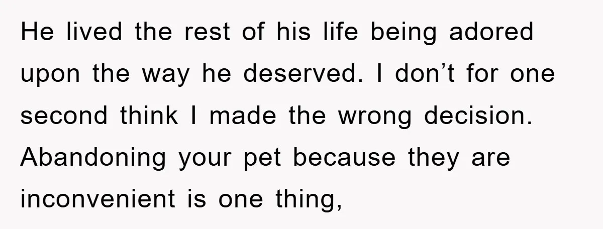He lived the rest of his life being adored upon the way he deserved. I don’t for one second think I made the wrong decision. Abandoning your pet because they...