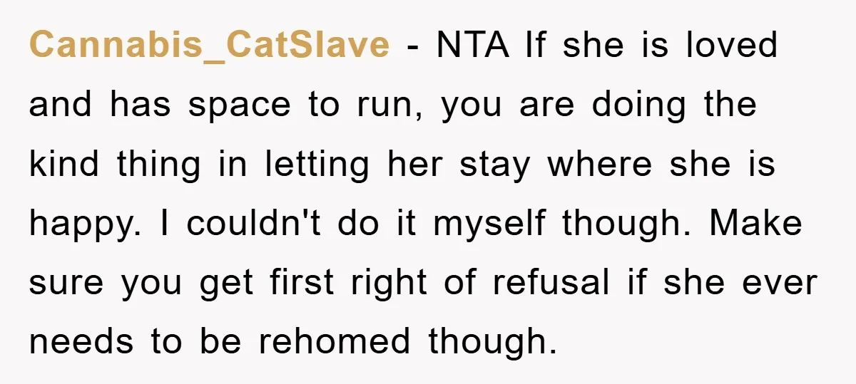 Cannabis_CatSlave − NTA If she is loved and has space to run, you are doing the kind thing in letting her stay where she is happy. I couldn't do it...