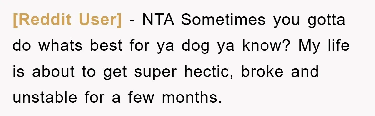 [Reddit User] − NTA Sometimes you gotta do whats best for ya dog ya know? My life is about to get super hectic, broke and unstable for a few months.