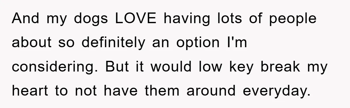 And my dogs LOVE having lots of people about so definitely an option I'm considering. But it would low key break my heart to not have them around everyday.