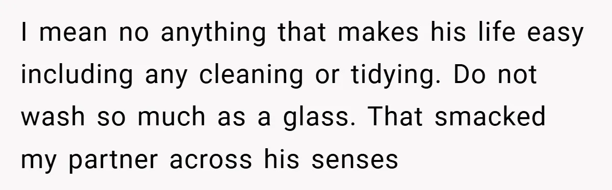 I mean no anything that makes his life easy including any cleaning or tidying. Do not wash so much as a glass. That smacked my partner across his senses