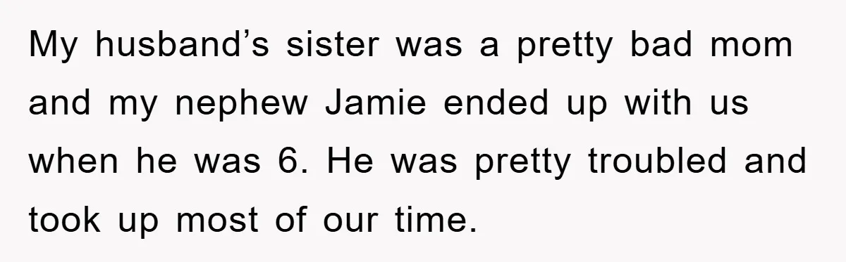 My husband’s sister was a pretty bad mom and my nephew Jamie ended up with us when he was 6. He was pretty troubled and took up most of our...