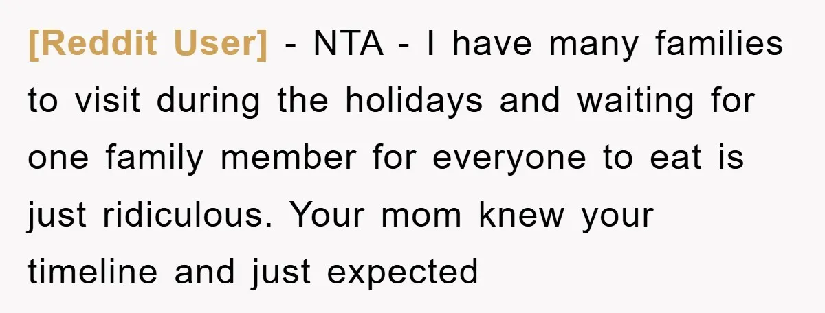 [Reddit User] − NTA - I have many families to visit during the holidays and waiting for one family member for everyone to eat is just ridiculous. Your mom knew...