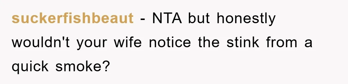 suckerfishbeaut − NTA but honestly wouldn't your wife notice the stink from a quick smoke?