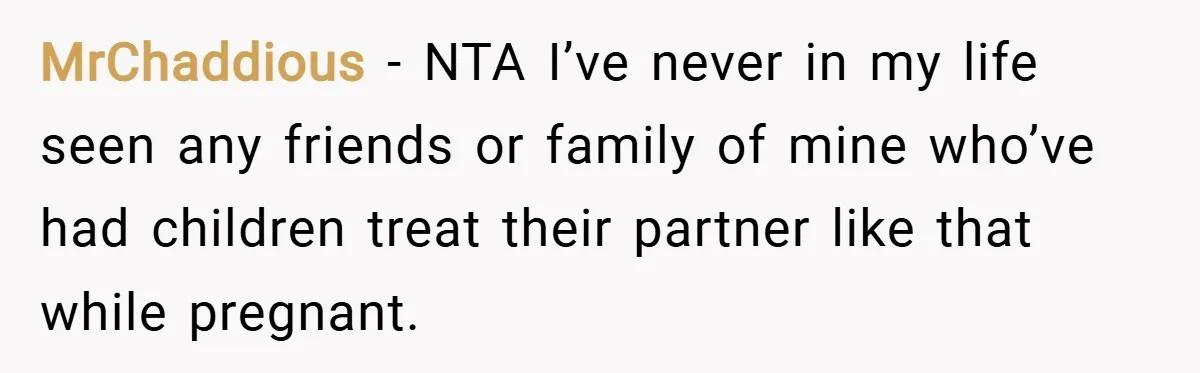 MrChaddious − NTA I’ve never in my life seen any friends or family of mine who’ve had children treat their partner like that while pregnant.