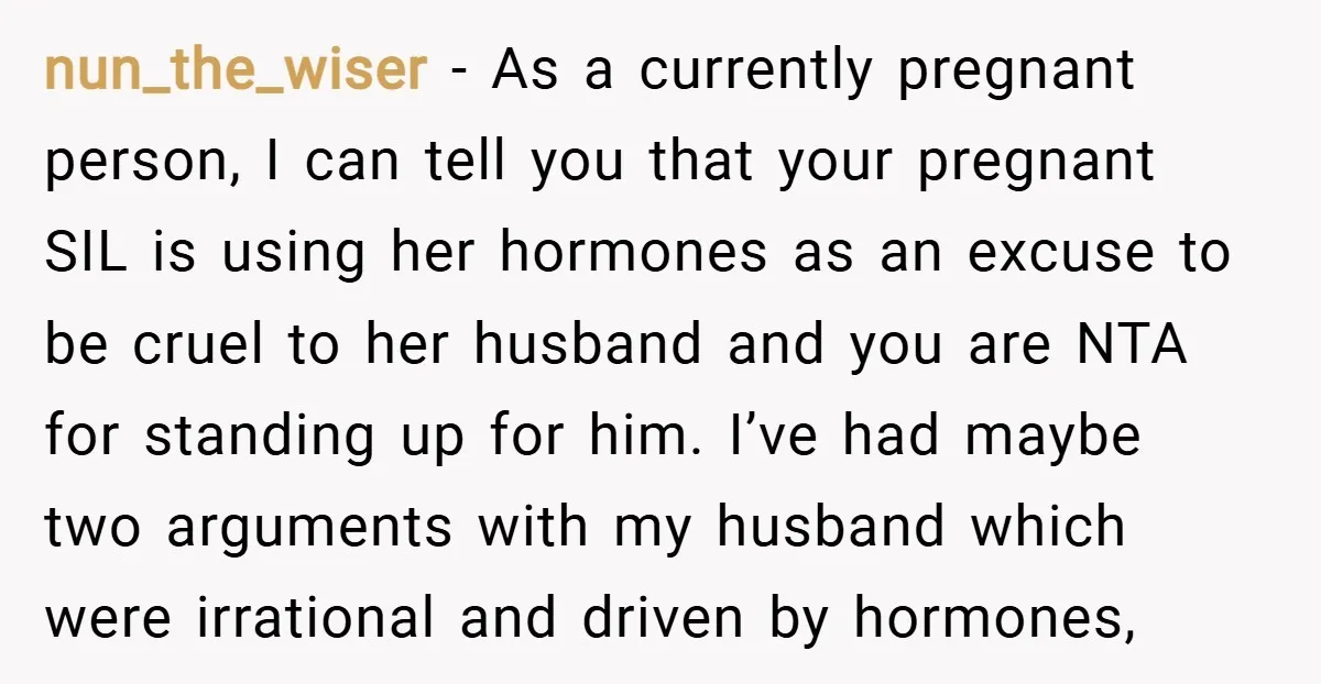 nun_the_wiser − As a currently pregnant person, I can tell you that your pregnant SIL is using her hormones as an excuse to be cruel to her husband and you...