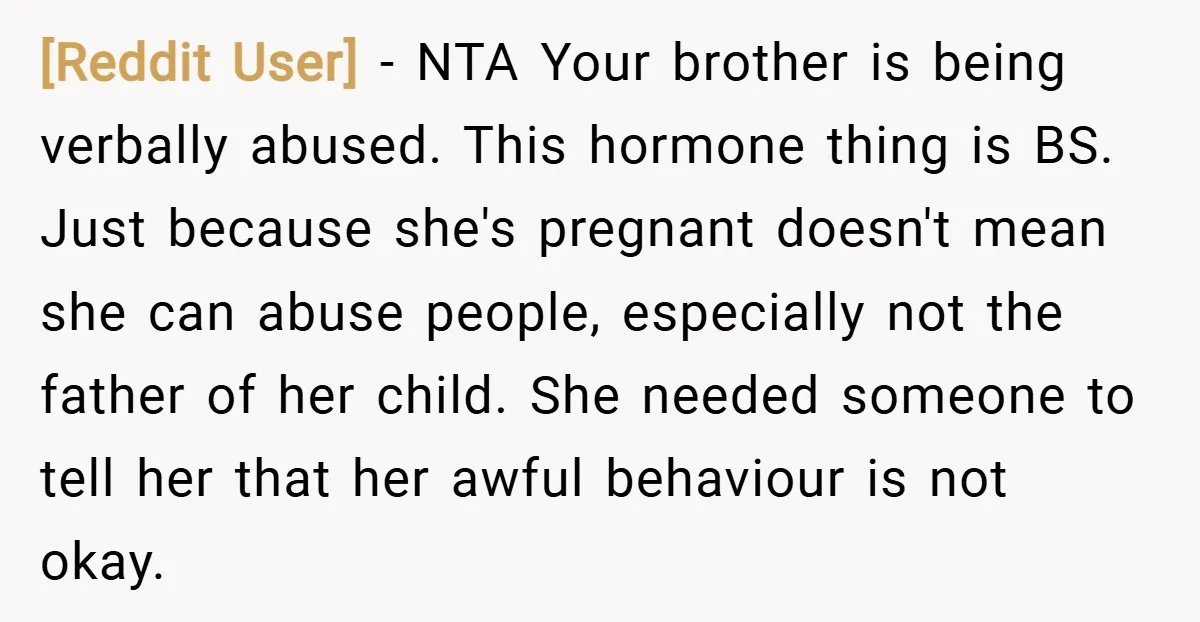 [Reddit User] − NTA Your brother is being verbally abused. This hormone thing is BS. Just because she's pregnant doesn't mean she can abuse people, especially not the father of...