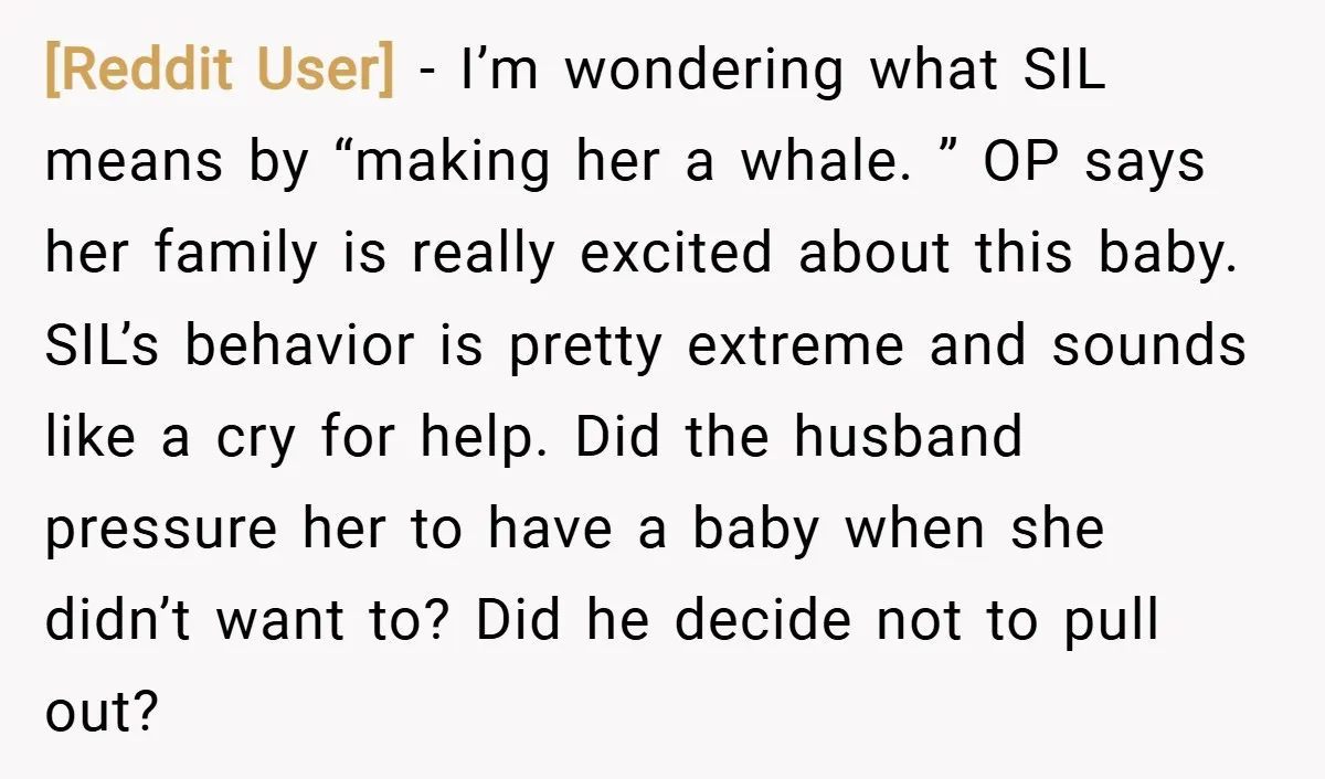 [Reddit User] − I’m wondering what SIL means by “making her a whale. ” OP says her family is really excited about this baby. SIL’s behavior is pretty extreme and...