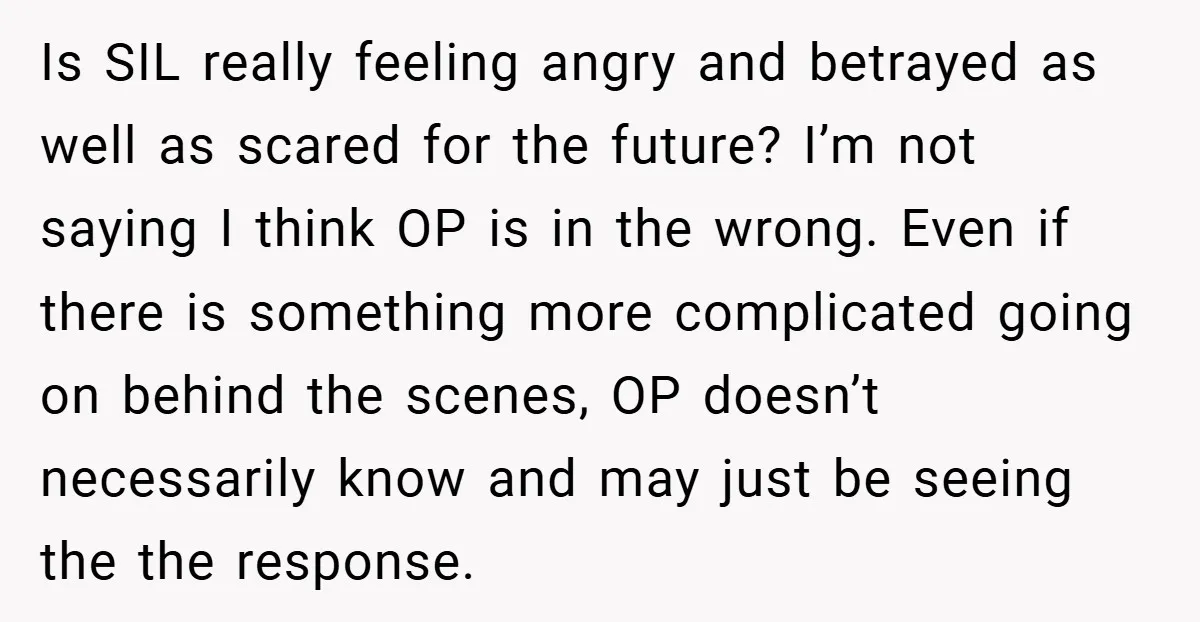 Is SIL really feeling angry and betrayed as well as scared for the future? I’m not saying I think OP is in the wrong. Even if there is something more...