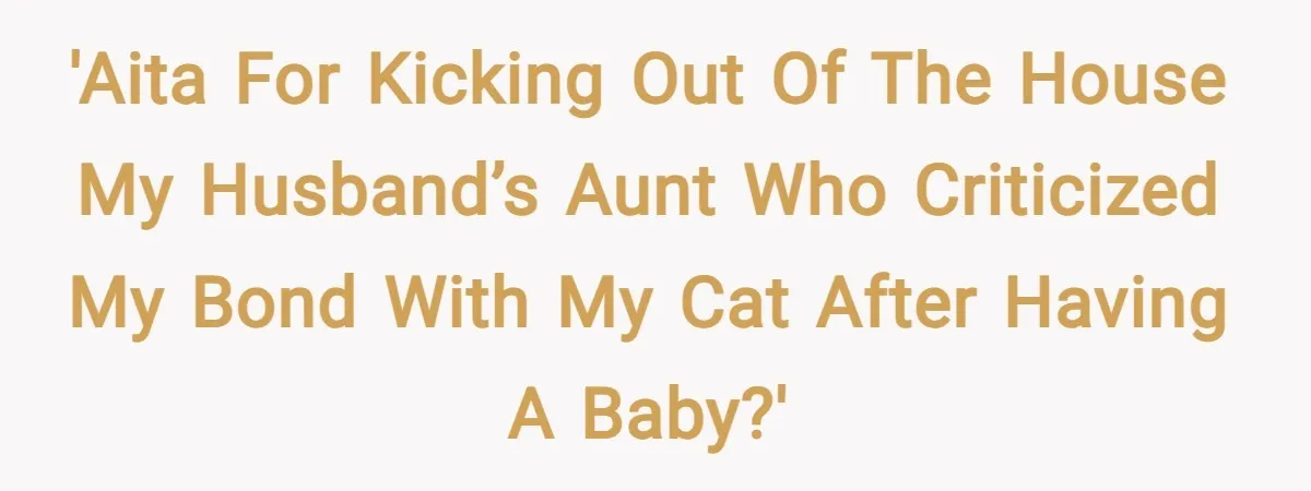 'AITA for kicking out of the house my husband’s aunt who criticized my bond with my cat after having a baby?'