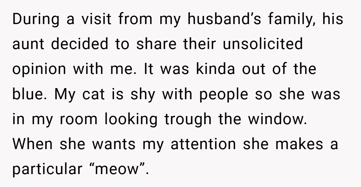During a visit from my husband’s family, his aunt decided to share their unsolicited opinion with me. It was kinda out of the blue. My cat is shy with people...