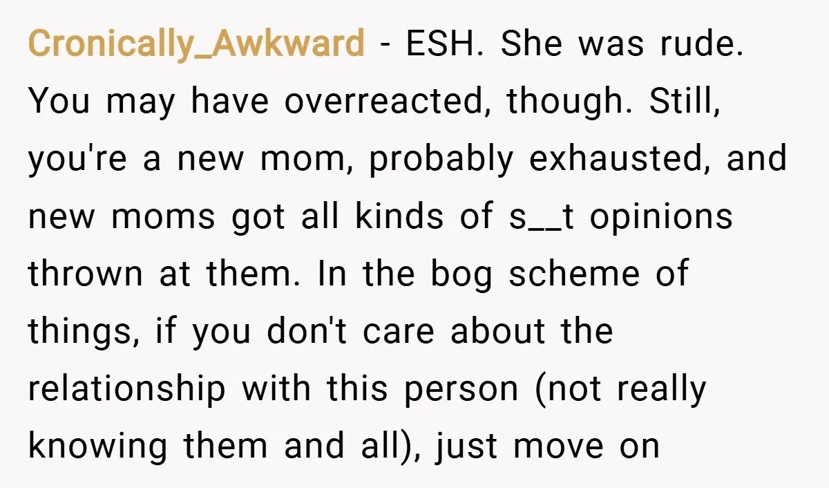 Cronically_Awkward − ESH. She was rude. You may have overreacted, though. Still, you're a new mom, probably exhausted, and new moms got all kinds of s__t opinions thrown at them....