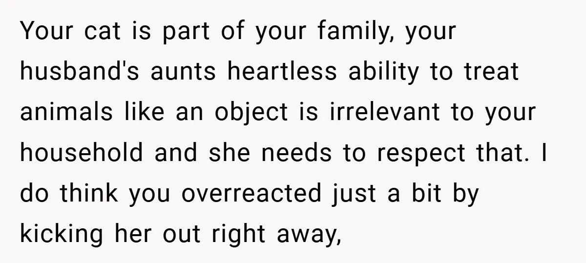 Your cat is part of your family, your husband's aunts heartless ability to treat animals like an object is irrelevant to your household and she needs to respect that. I...