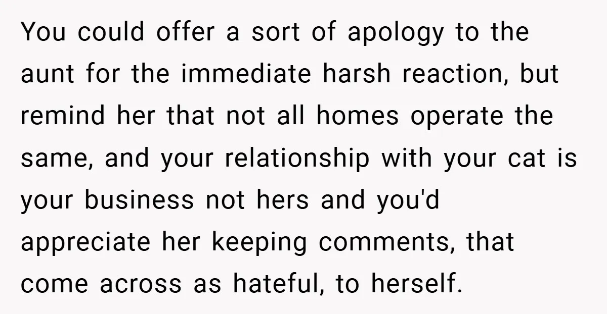 You could offer a sort of apology to the aunt for the immediate harsh reaction, but remind her that not all homes operate the same, and your relationship with your...