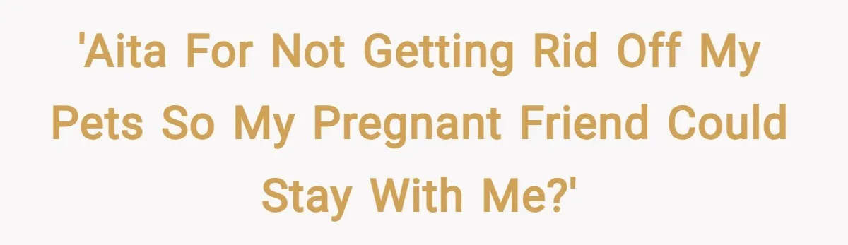'AITA for not getting rid off my pets so my pregnant friend could stay with me?'