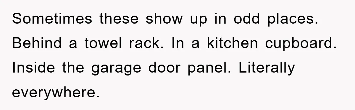 Sometimes these show up in odd places. Behind a towel rack. In a kitchen cupboard. Inside the garage door panel. Literally everywhere.