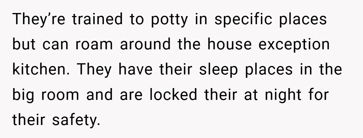 They’re trained to potty in specific places but can roam around the house exception kitchen. They have their sleep places in the big room and are locked their at night...