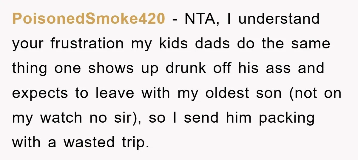 PoisonedSmoke420 − NTA, I understand your frustration my kids dads do the same thing one shows up drunk off his ass and expects to leave with my oldest son (not...